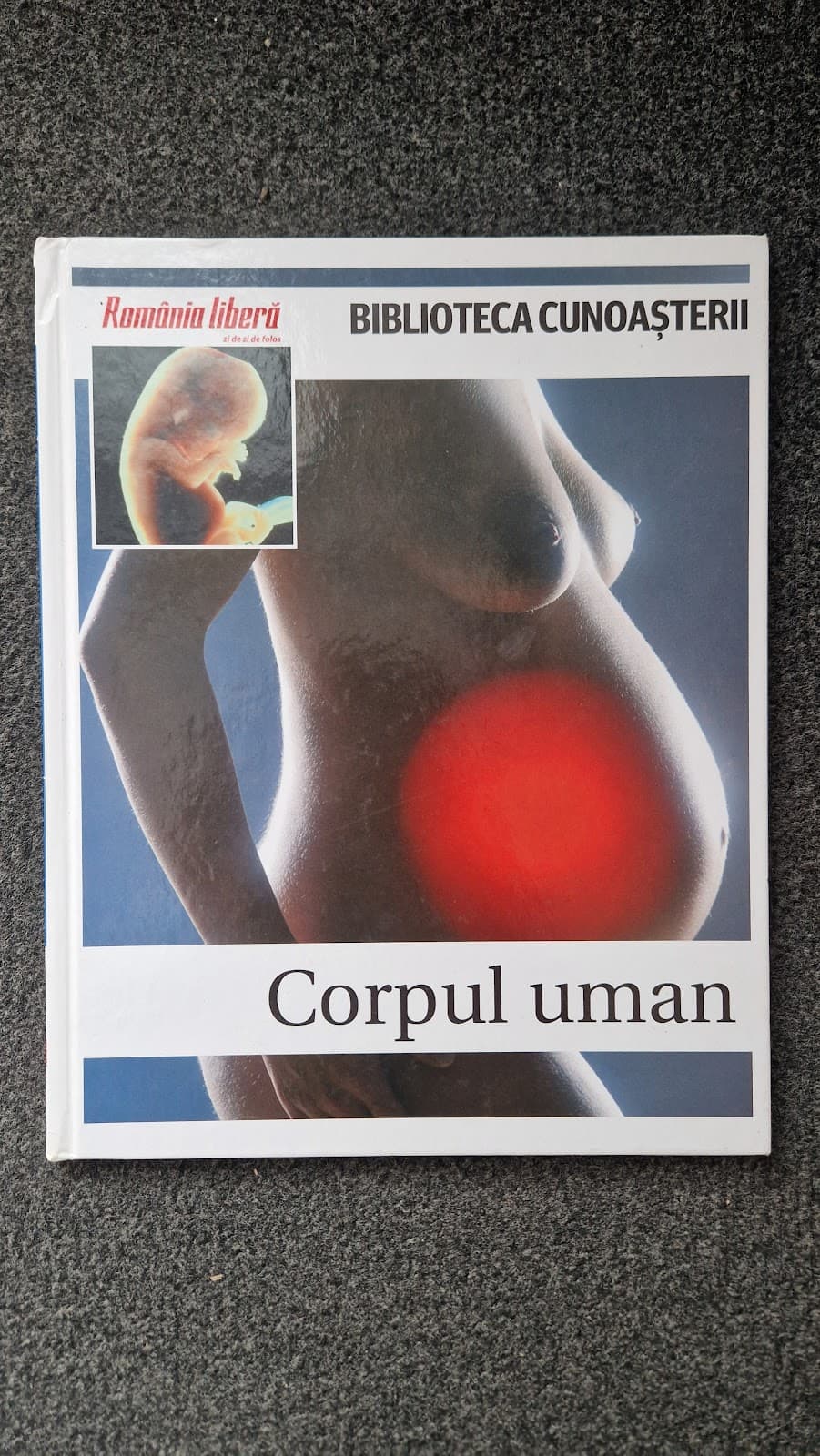 CORPUL UMAN