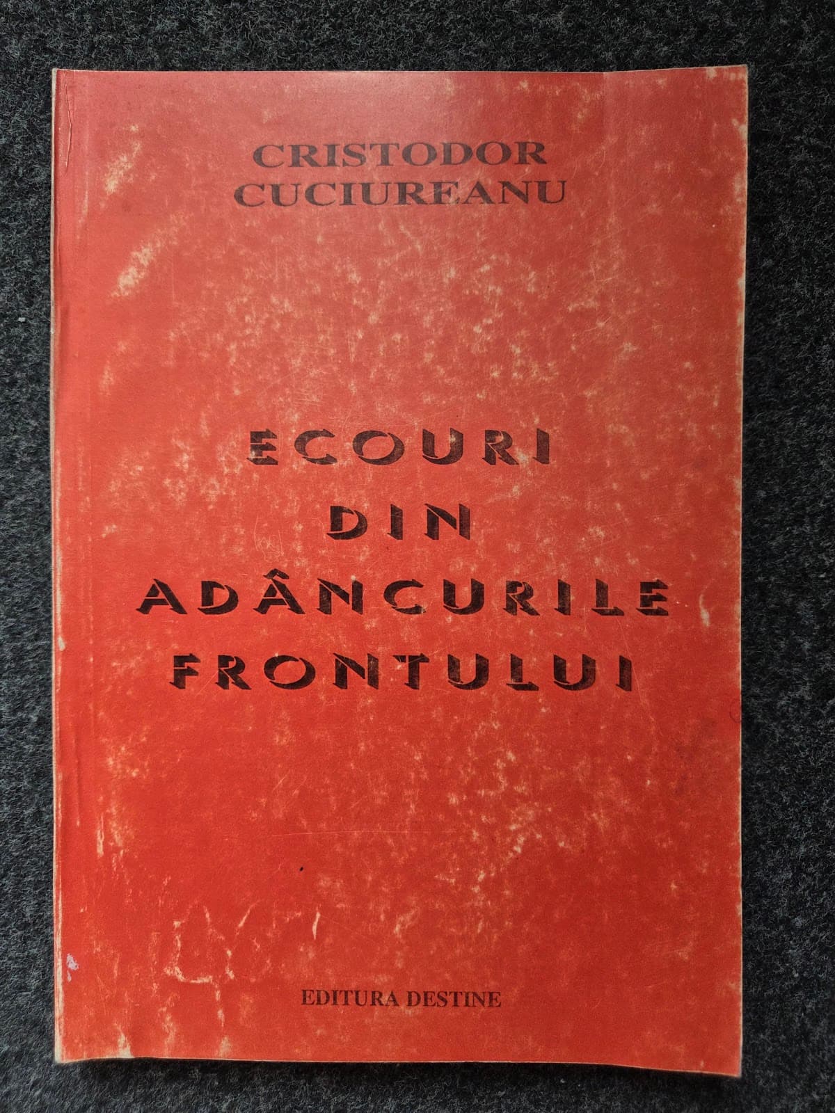 ECOURI DIN ADANCURILE FRONTULUI