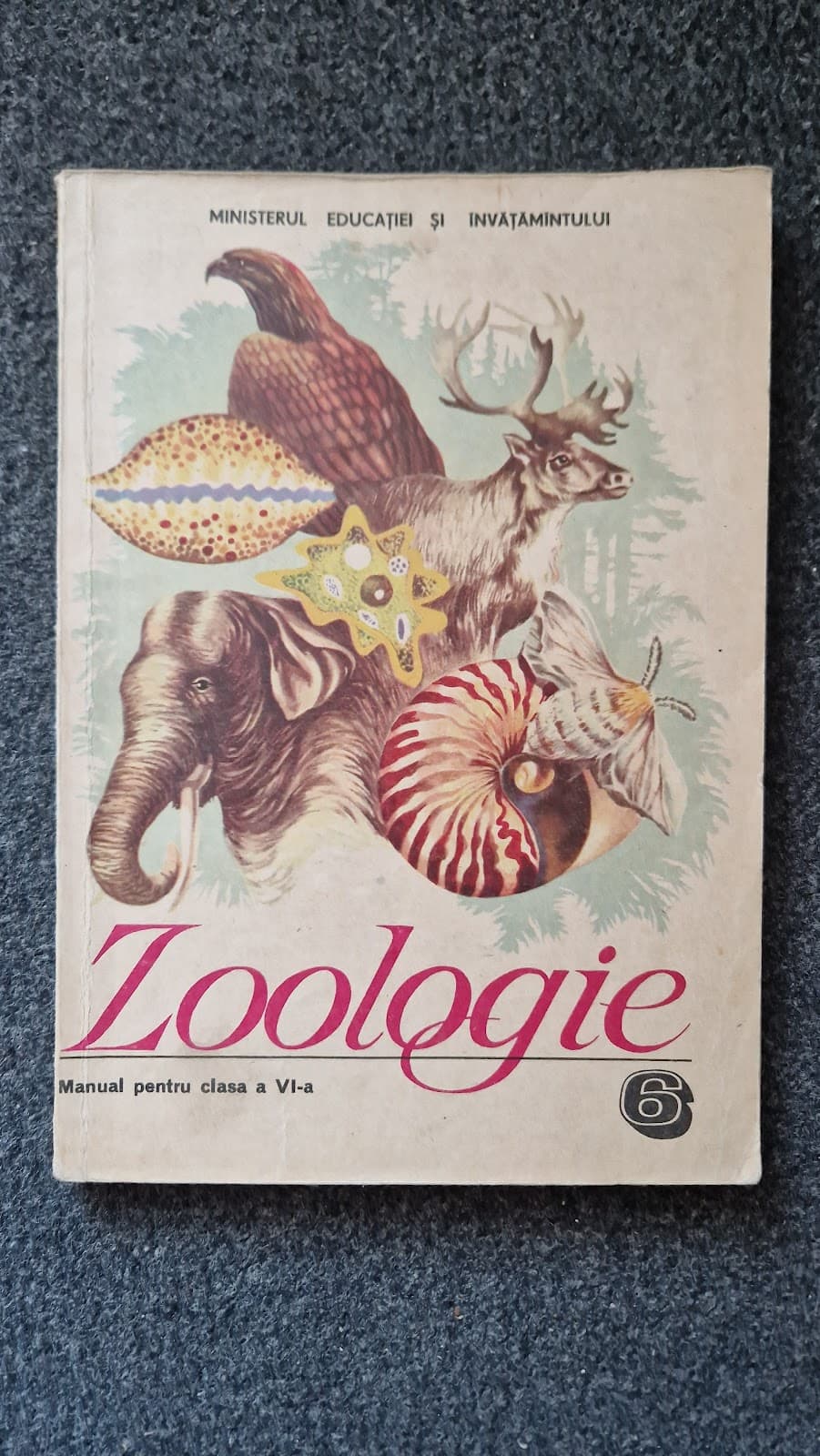 ZOOLOGIE MANUAL PENTRU CLASA A VI-A