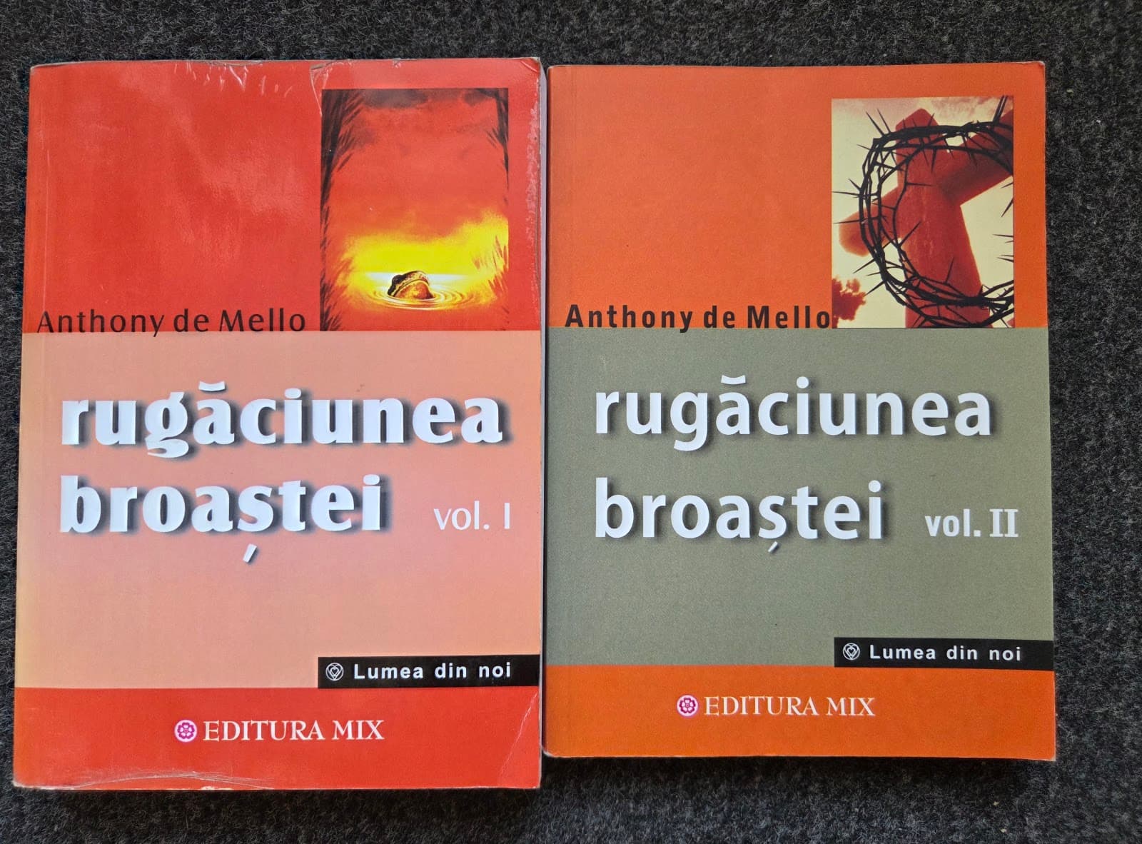 RUGACIUNEA BROASTEI (2 volume)
