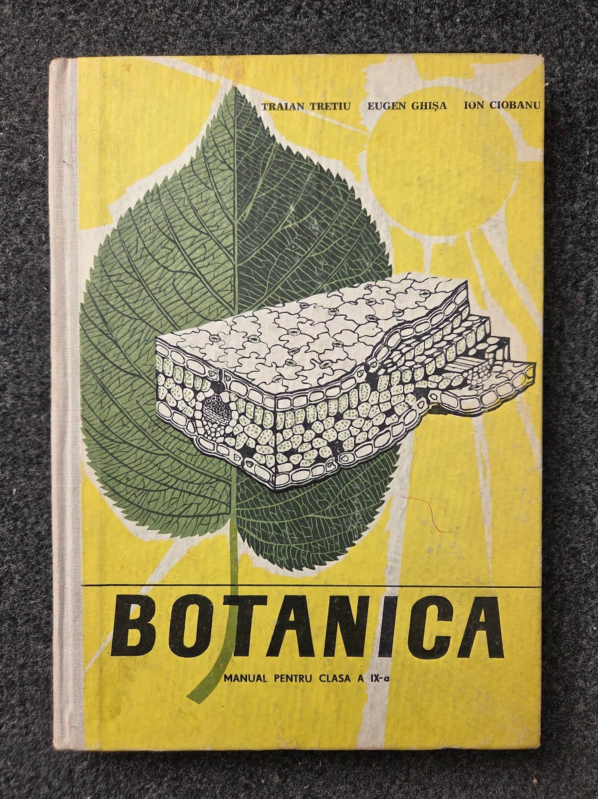 BOTANICA. MANUAL PENTRU CLASA A IX-A