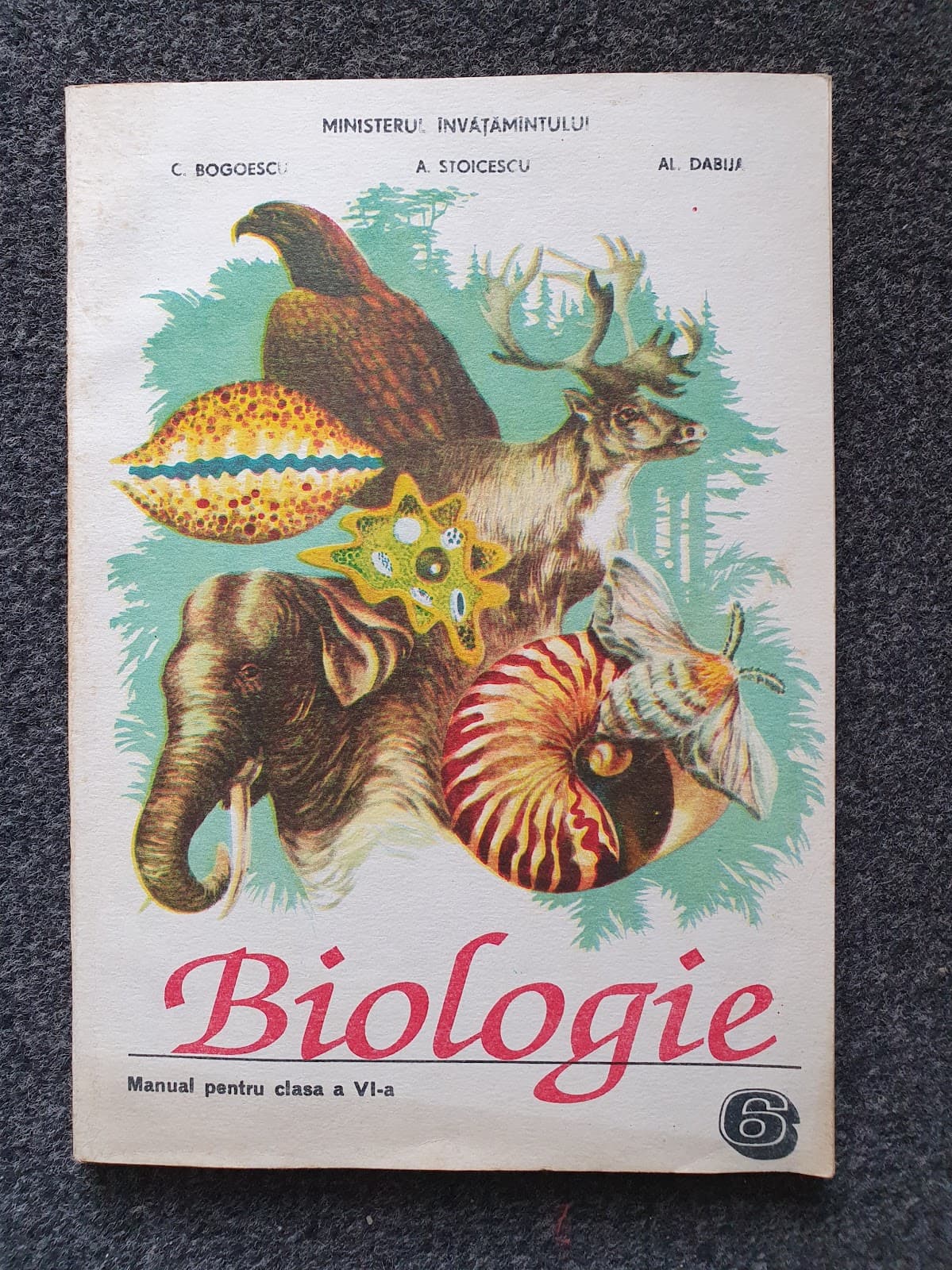 BIOLOGIE MANUAL PENTRU CLASA A VI-A