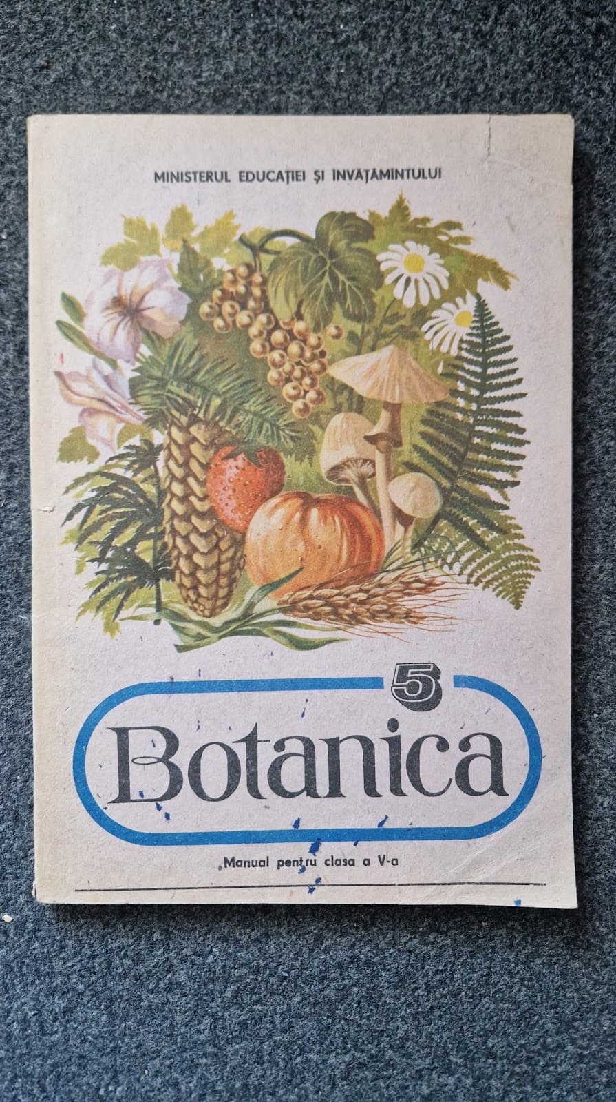 BOTANICA MANUAL PENTRU CLASA A V-A