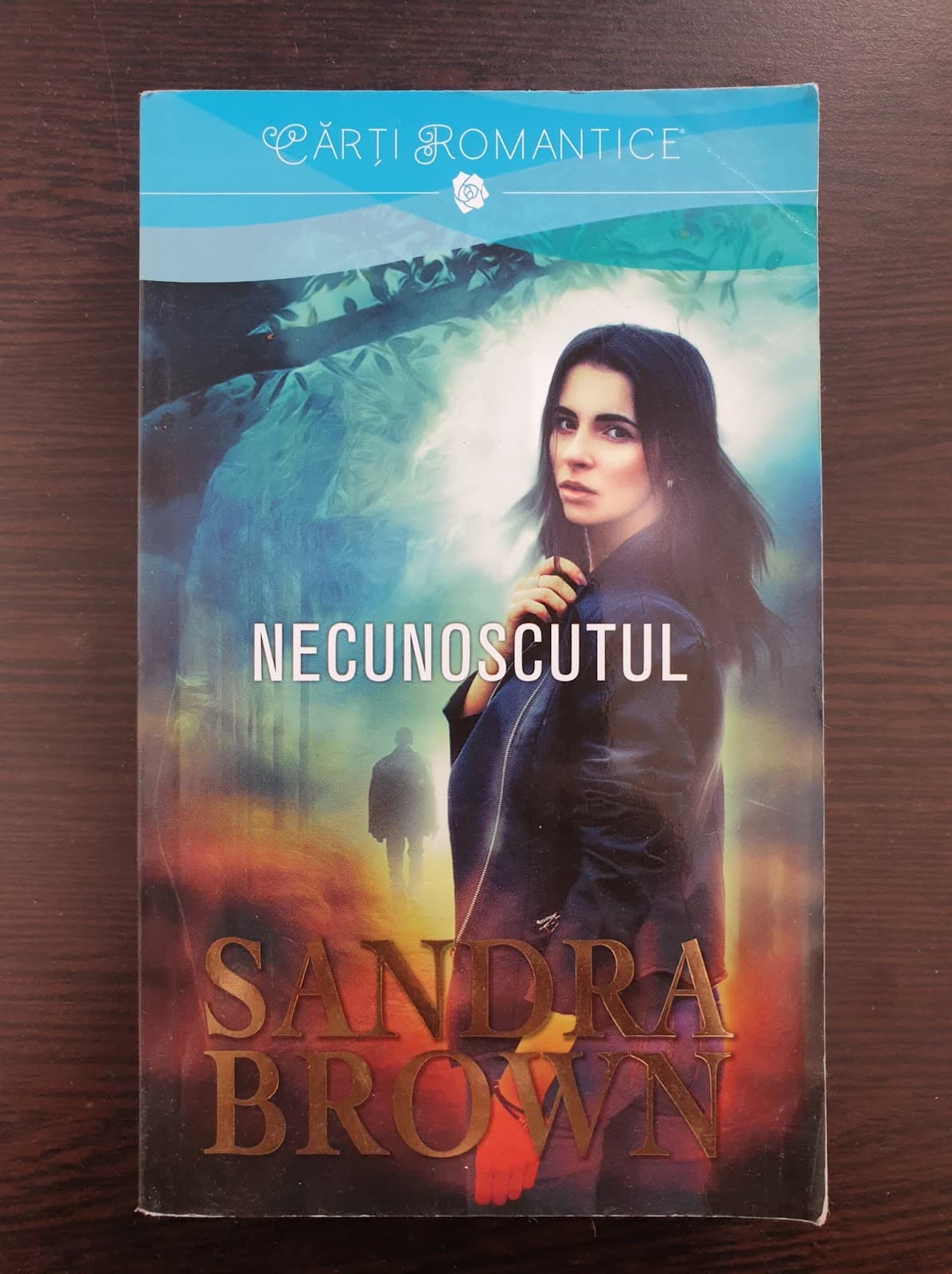 NECUNOSCUTUL