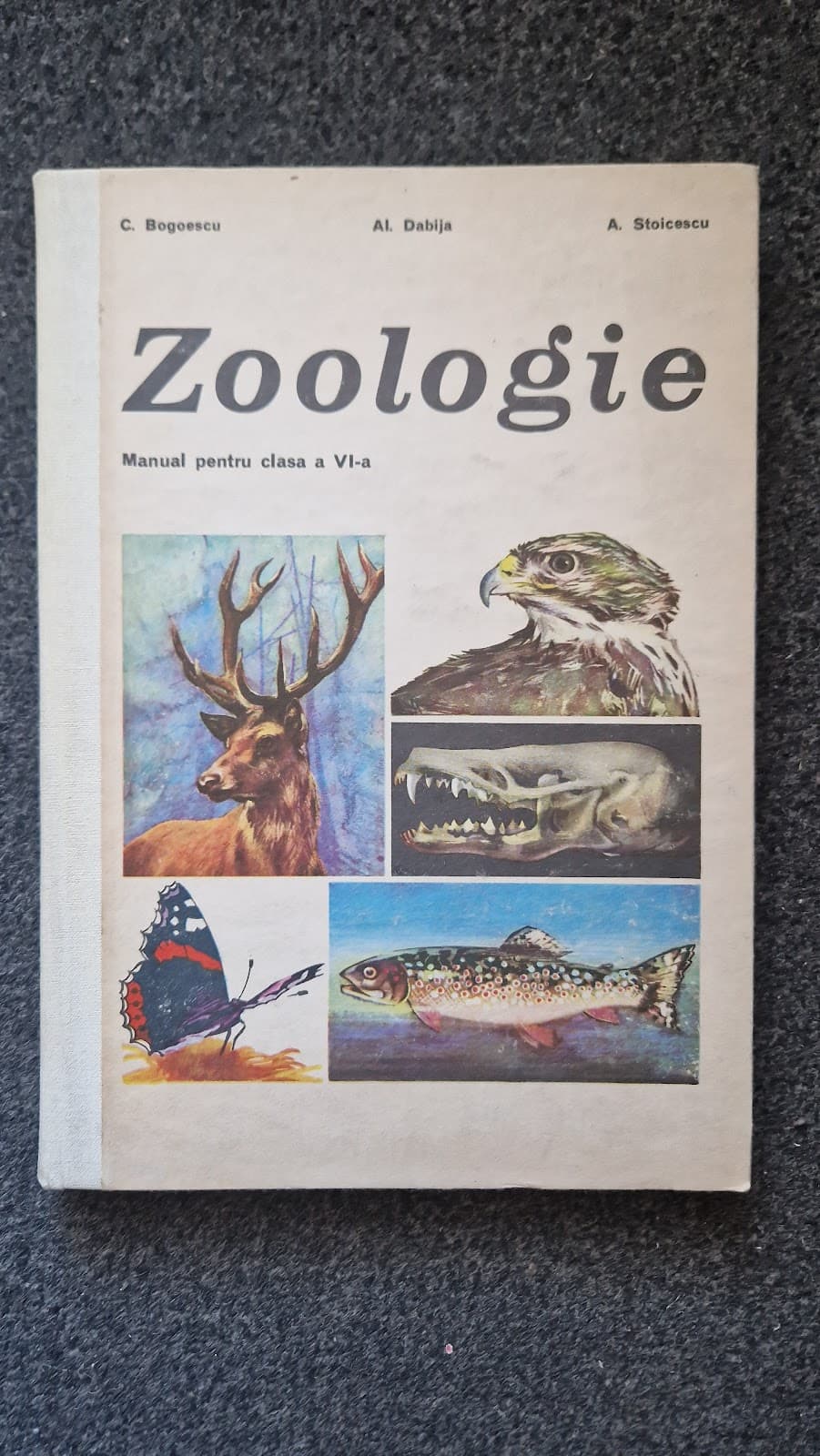 ZOOLOGIE MANUAL PENTRU CLASA A VI-A