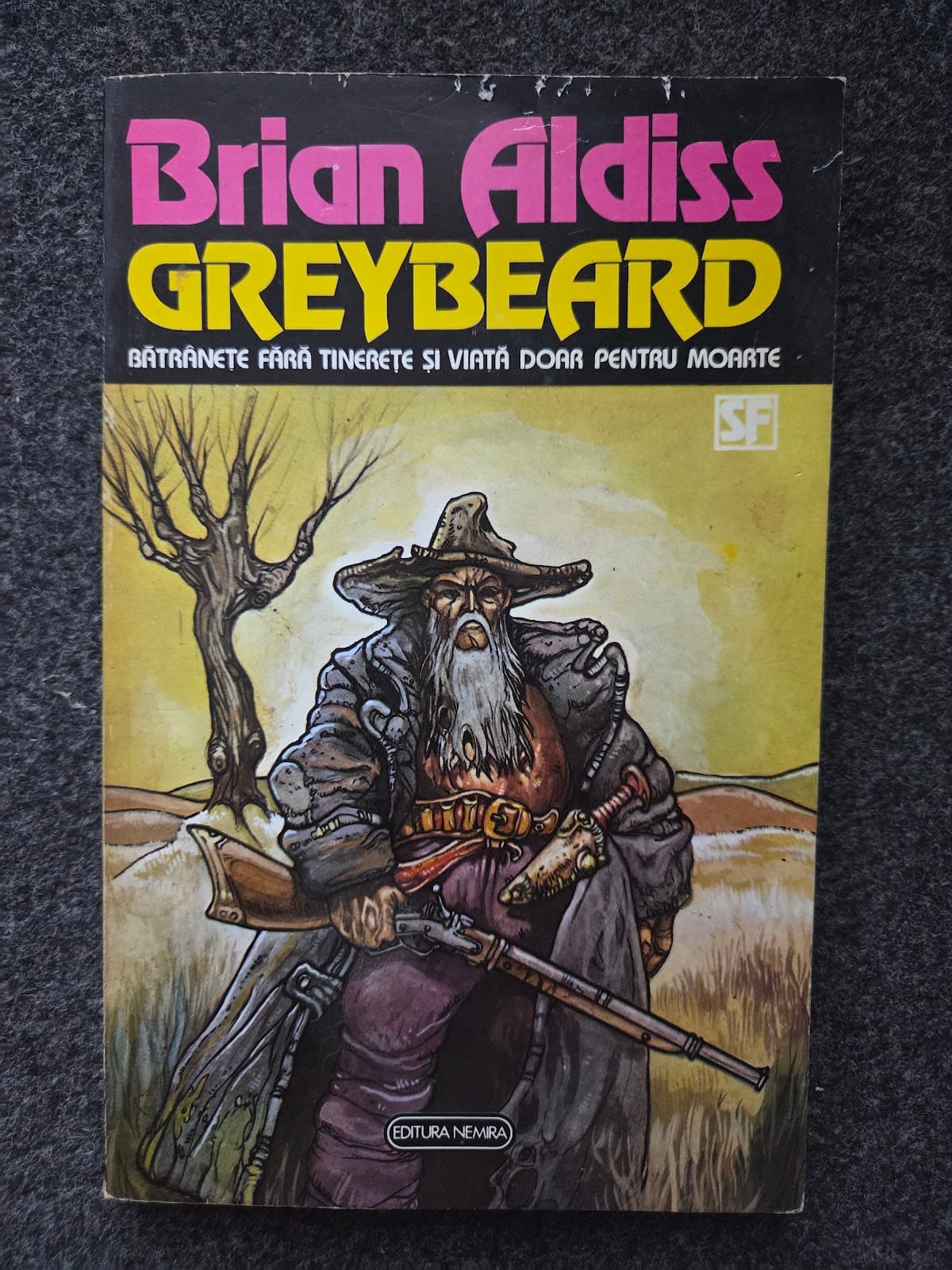 GREYBEARD