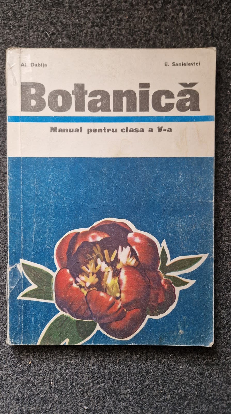 BOTANICA MANUAL PENTRU CLASA A V-A