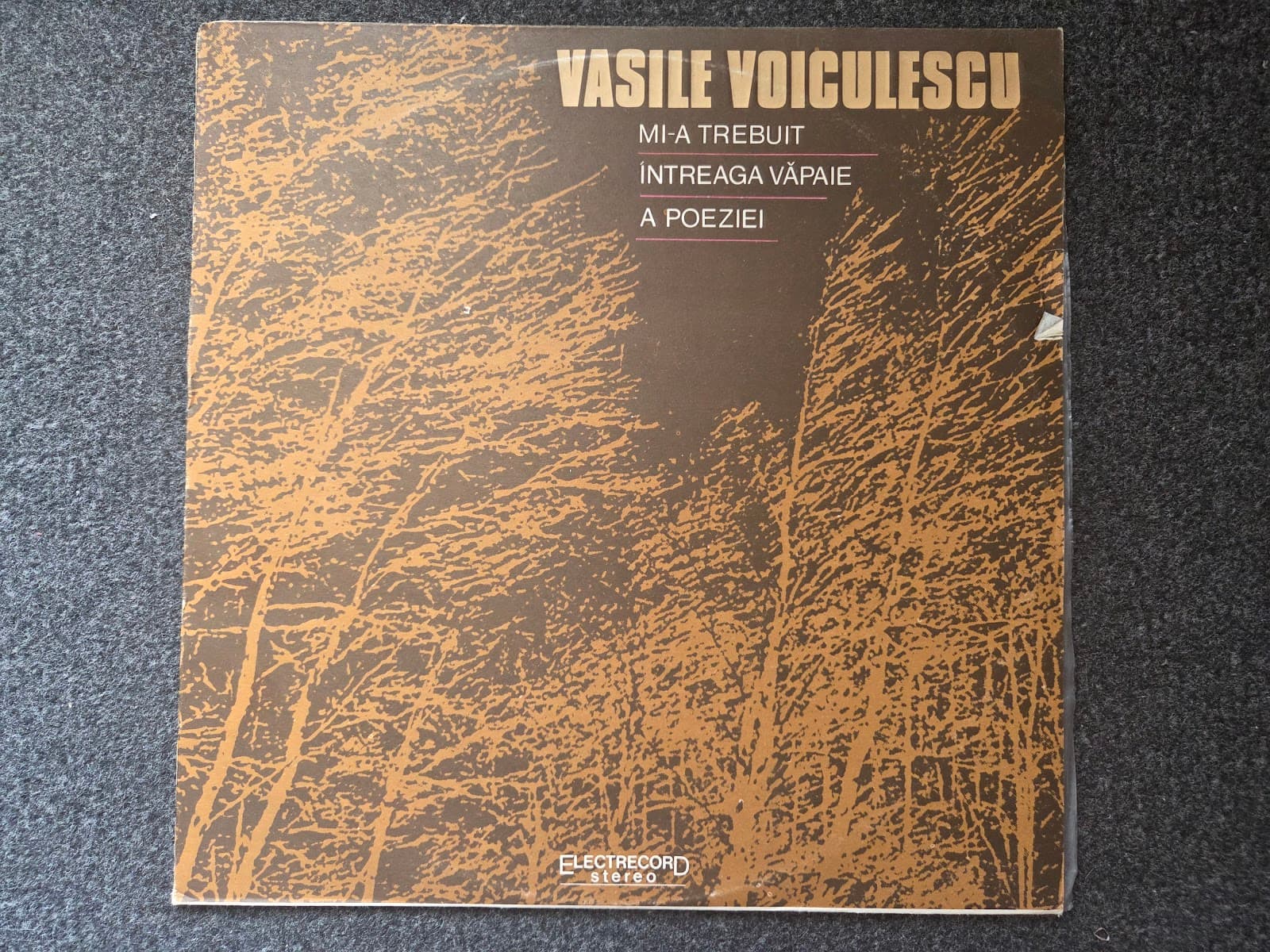 MI-A TREBUIT INTREAGA VAPAIE A POEZIEI